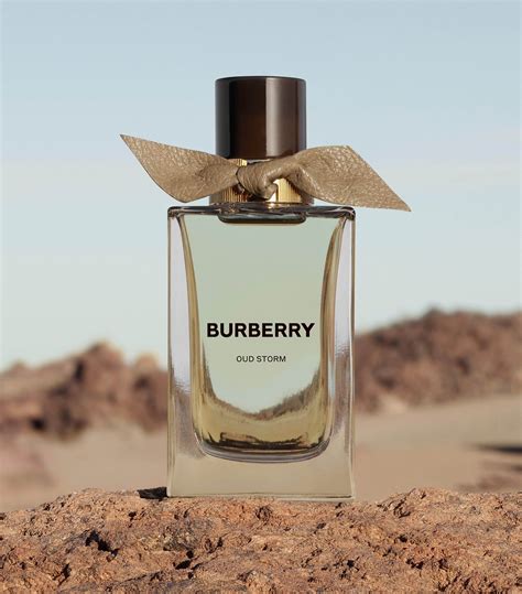 burberry storm odour.